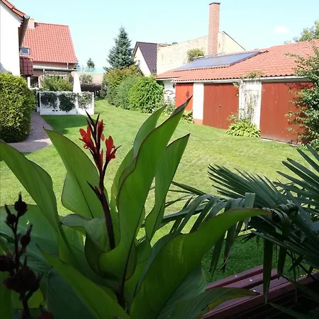 Blick Zu Den Sternen Hohenbruck