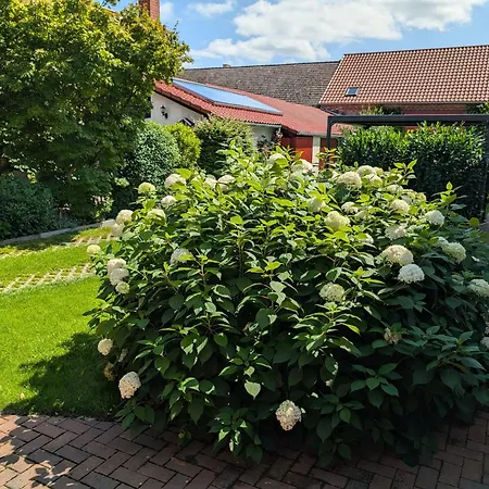Blick Zu Den Sternen * Hohenbruck