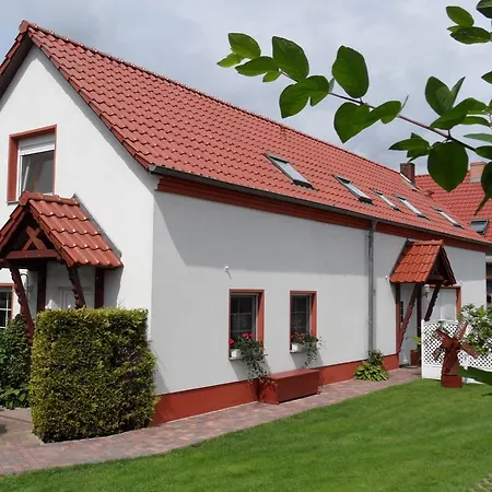 Blick Zu Den Sternen Hohenbruck