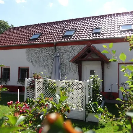 Blick Zu Den Sternen