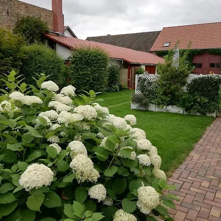 Blick Zu Den Sternen Apartment Hohenbruck