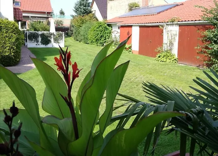 Blick Zu Den Sternen Hohenbruck