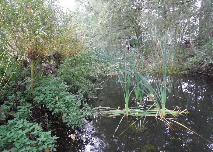Appartement Blick Zu Den Sternen