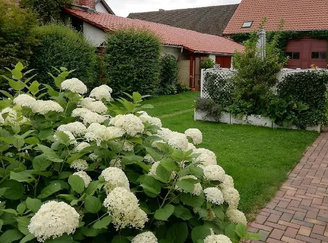 Blick Zu Den Sternen Appartement Hohenbruck